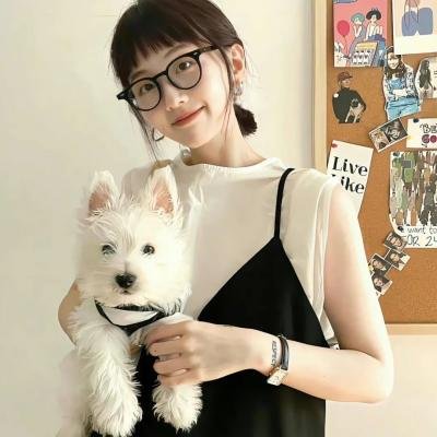 钢铁少女团2